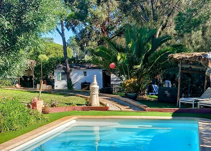 Koala Valdareina, Piscine Chauffee, Benagil-Carvoeiro