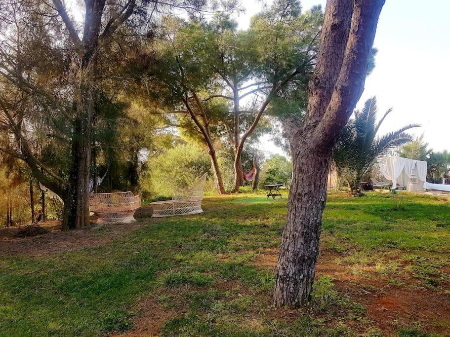 Apartment Koala Valdareina, Piscine Chauffee, Benagil-carvoeiro Carvoeiro (Lagoa)