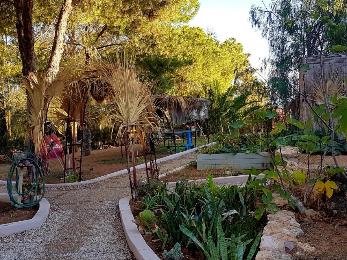 Koala Valdareina, Piscine Chauffee, Benagil-carvoeiro Carvoeiro (Lagoa)