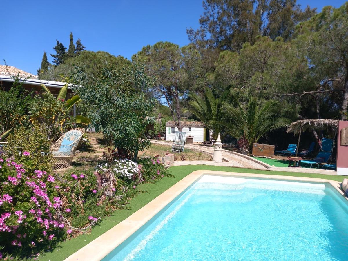 Koala Valdareina, Piscine Chauffee, Benagil-carvoeiro *