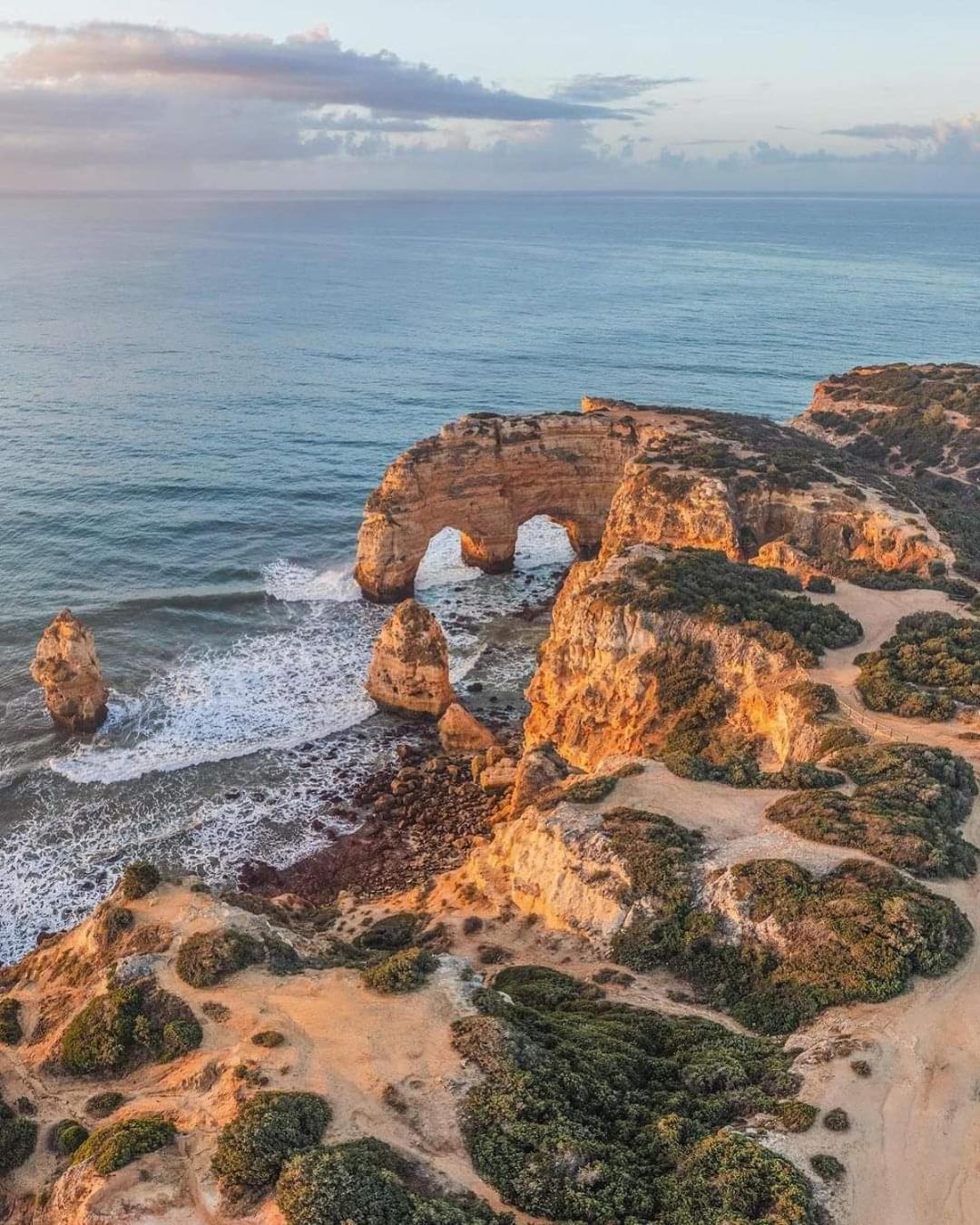 Koala Valdareina, Piscine Chauffee, Benagil-carvoeiro Carvoeiro (Lagoa)