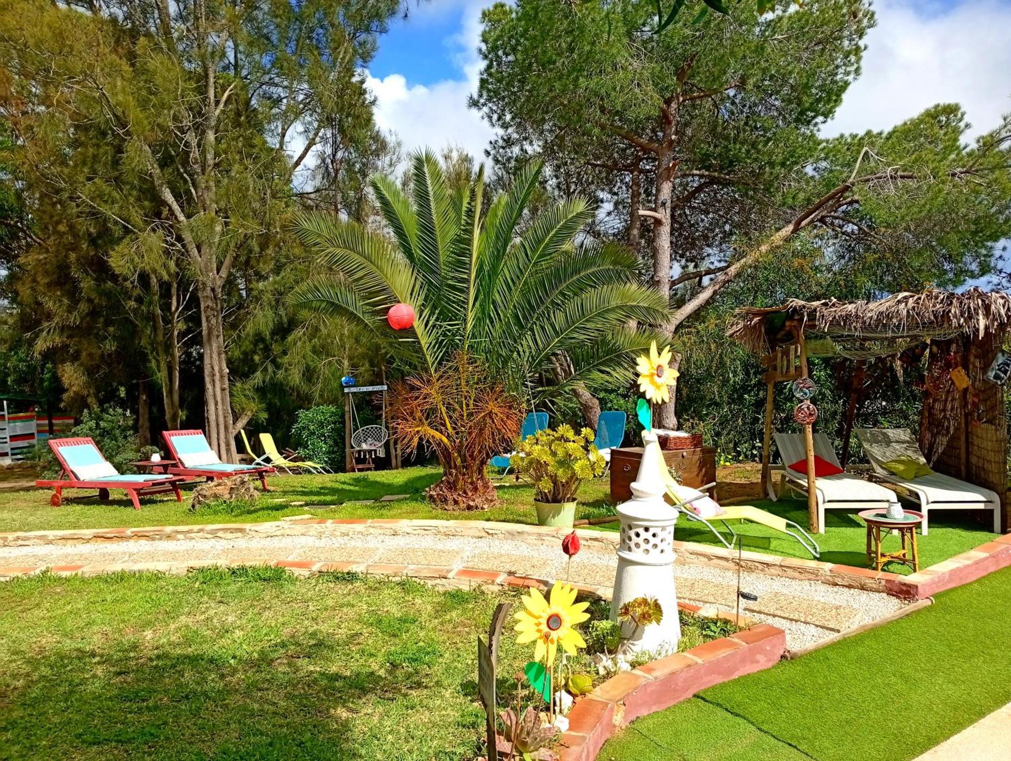 Koala Valdareina, Piscine Chauffee, Benagil-carvoeiro