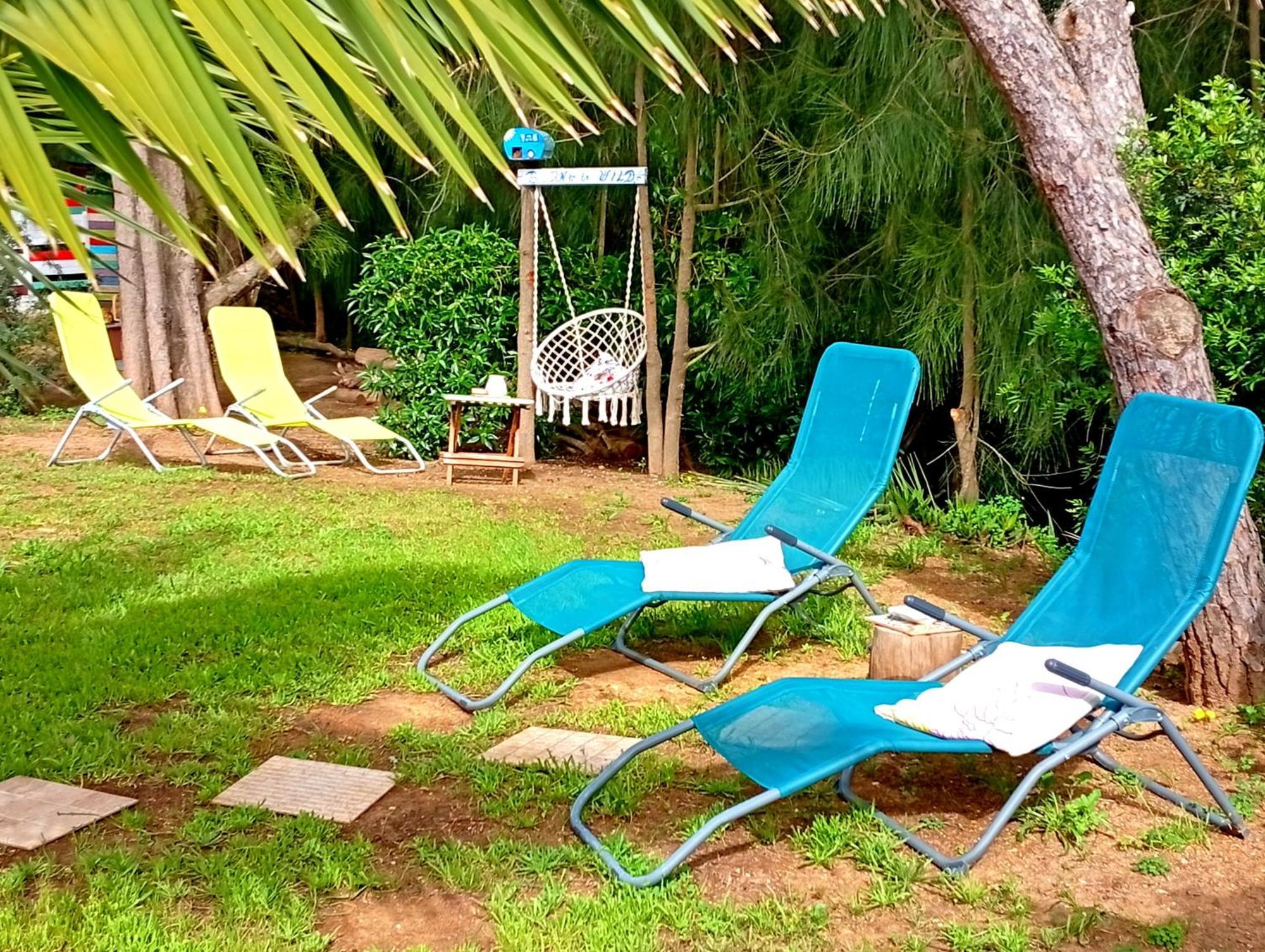 Koala Valdareina, Piscine Chauffee, Benagil-carvoeiro *